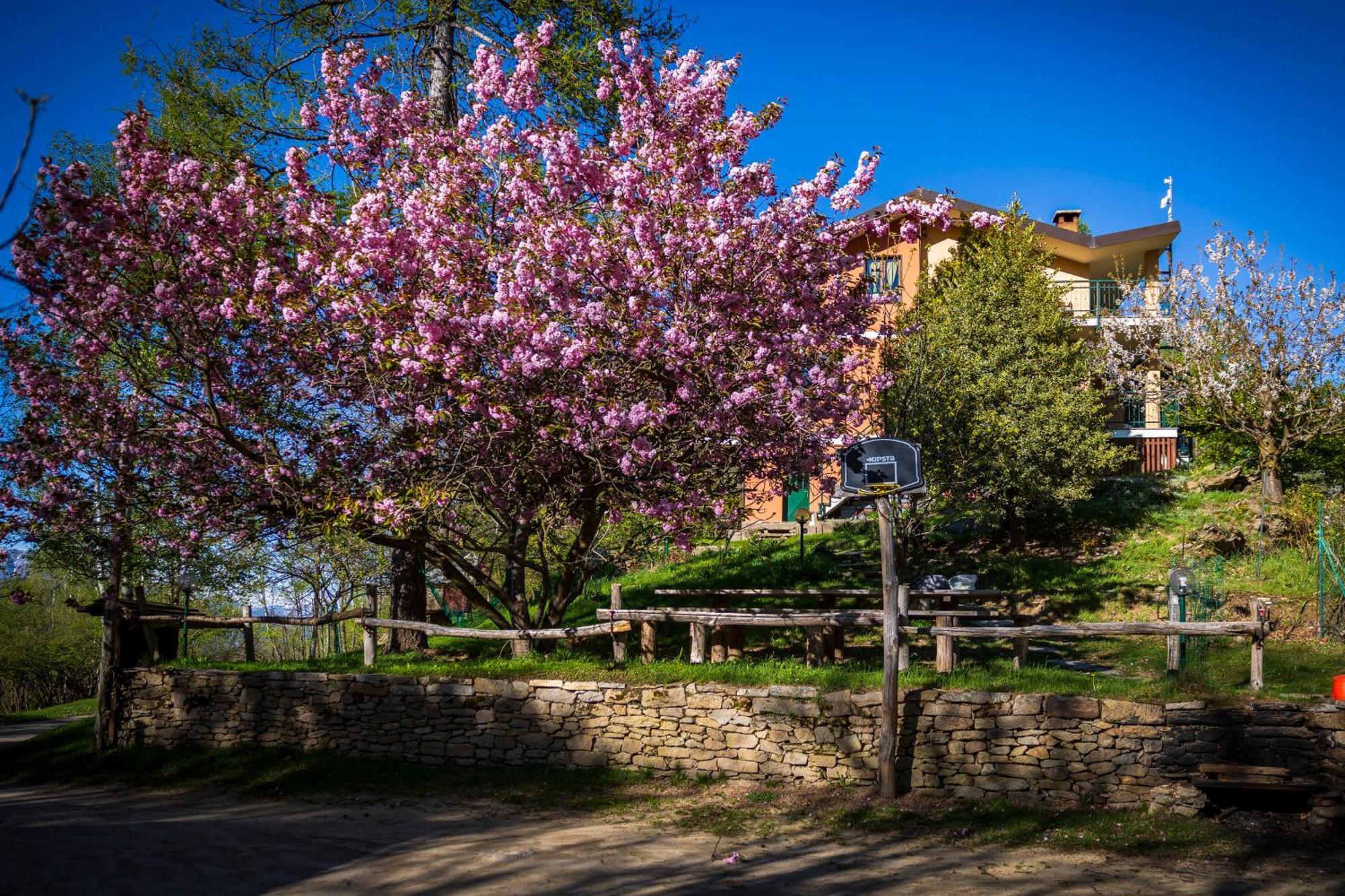 B&B Pian Savin Giaveno Exterior foto